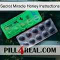 Secret Miracle Honey Instructions new04